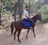 Bedri  Çelik 